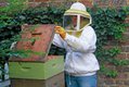 features_beekeeping__MG_4249_hp0317.jpg