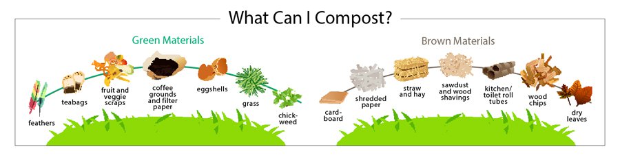 what-can-i-compost.jpg