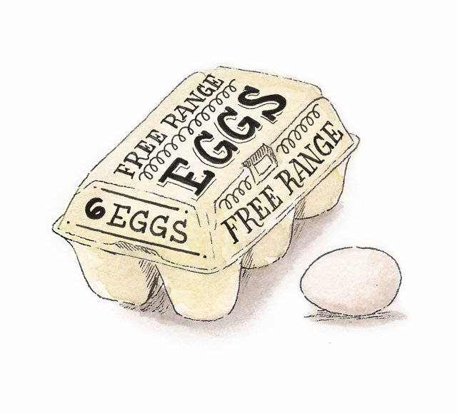 cracking-the-code-egg-related-terminology-richmondmagazine