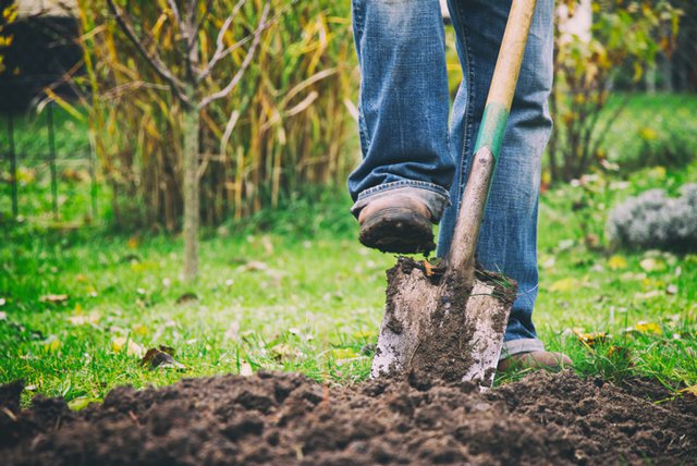 digging-dirt_GettyImages-934411298.jpg