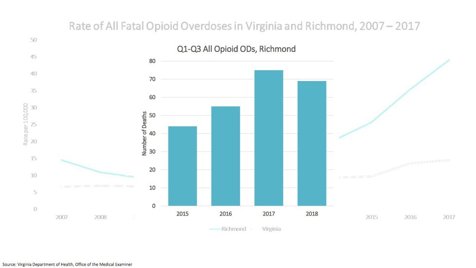 Opioid Fatals.jpg