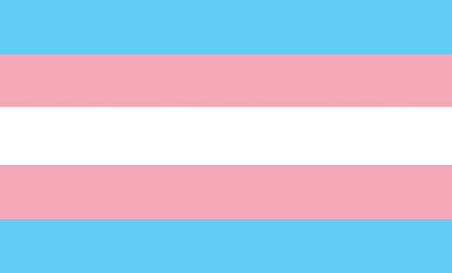 trans-flag.jpg