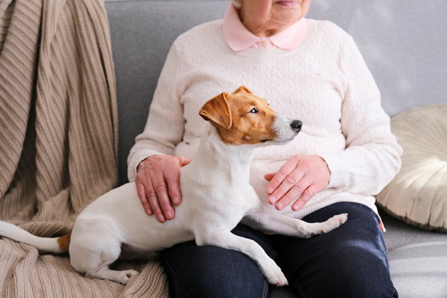 dog-w-woman_GettyImages-1192313646.jpg