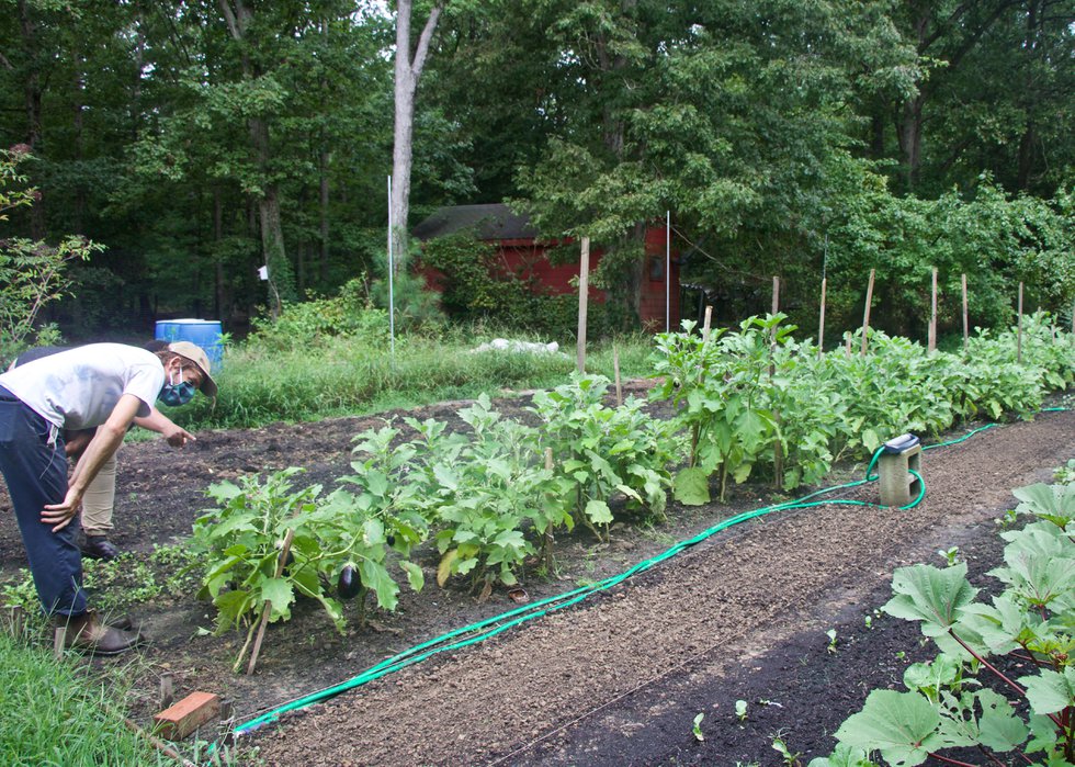 AdamWeatherfordFrankCommunityFarm_EileenMellon copy.jpg