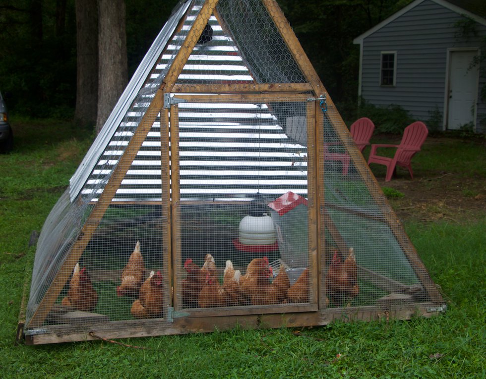 ChickenCoopFrankCommunityFarm_EileenMellon.jpg