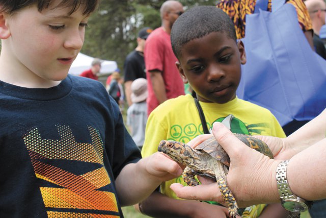 Diversions_RockwoodNaturesCenter_Turtle_COURTESY_rp0222.jpg