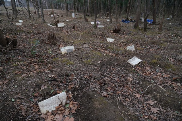 20220130_graves-woodland-cemetery_jay-paul.jpg