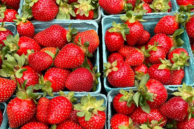Strawberries-Amys-Garden_Eileen-Mellon_teaser.jpg