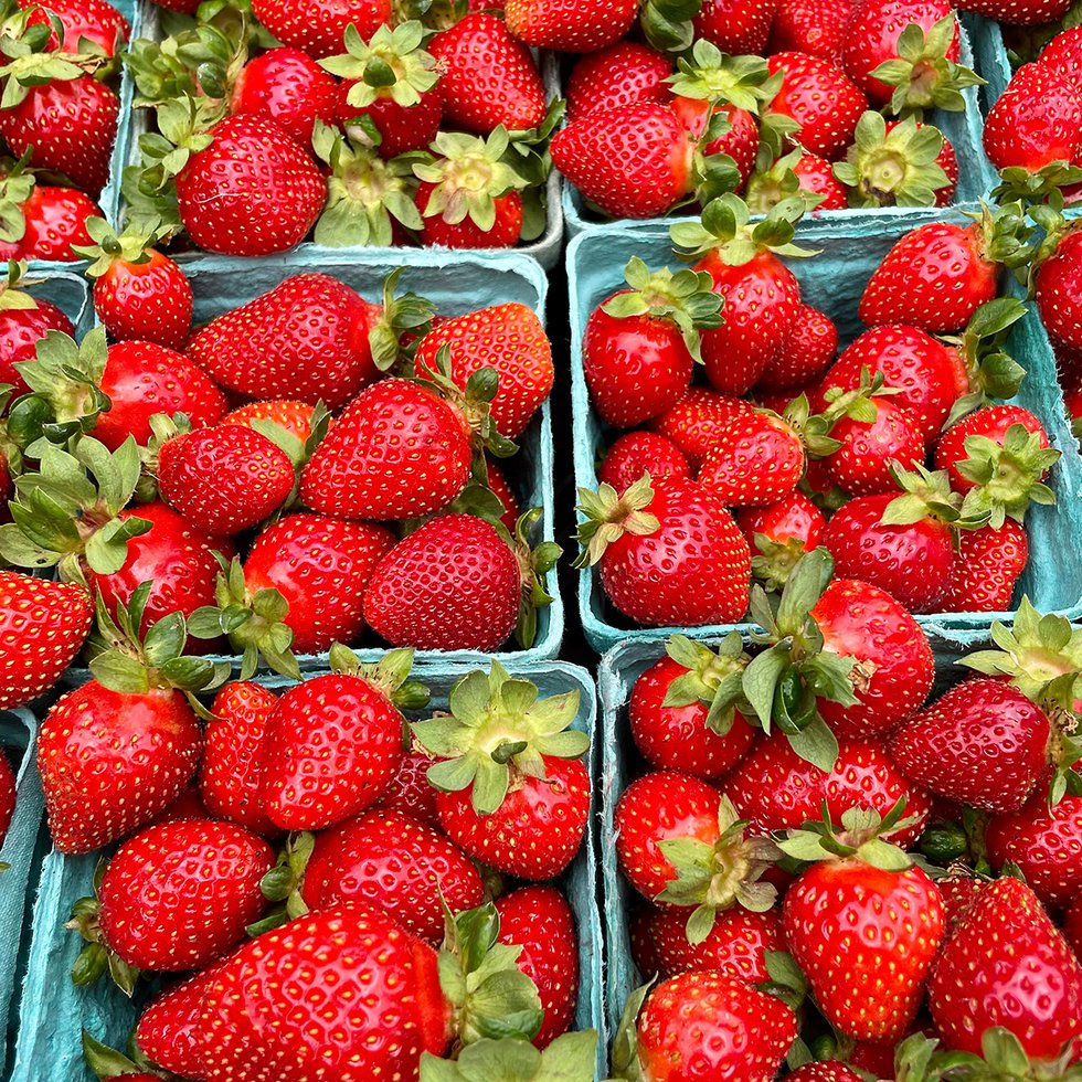 Strawberries-Amys-Garden_Eileen-Mellon.jpg