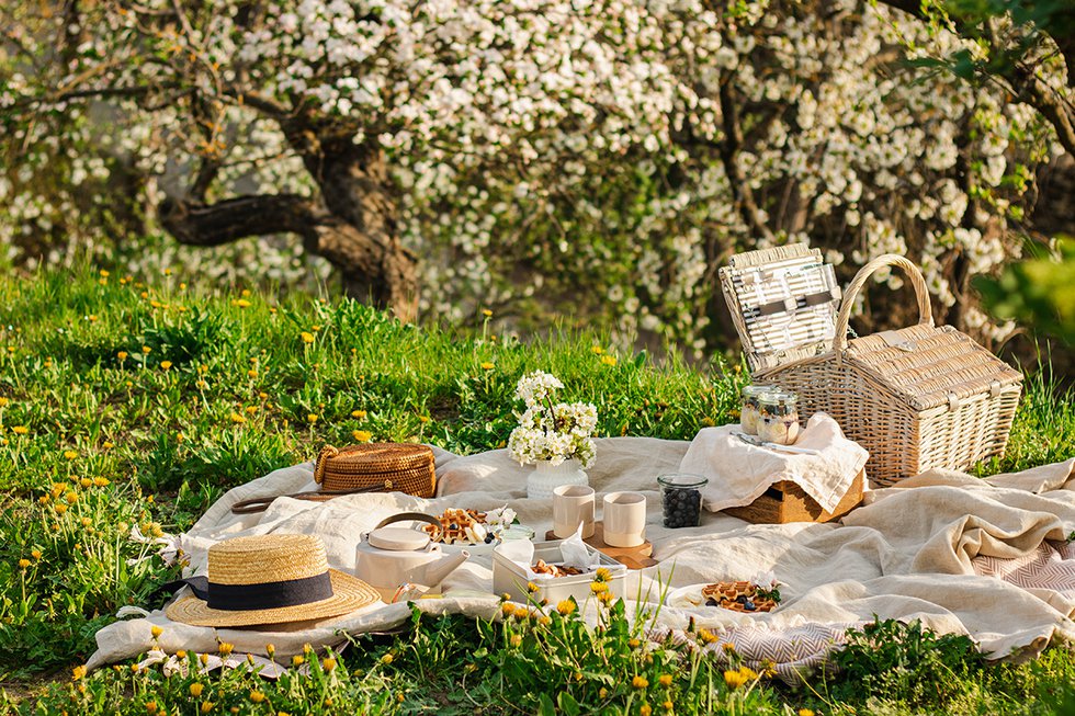 gatsby-picnic.jpg