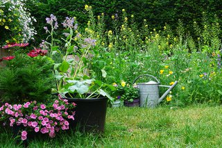 garden_GettyImages-1325936801.jpg