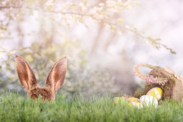 easter-bunny_GettyImages-1304334428.jpg