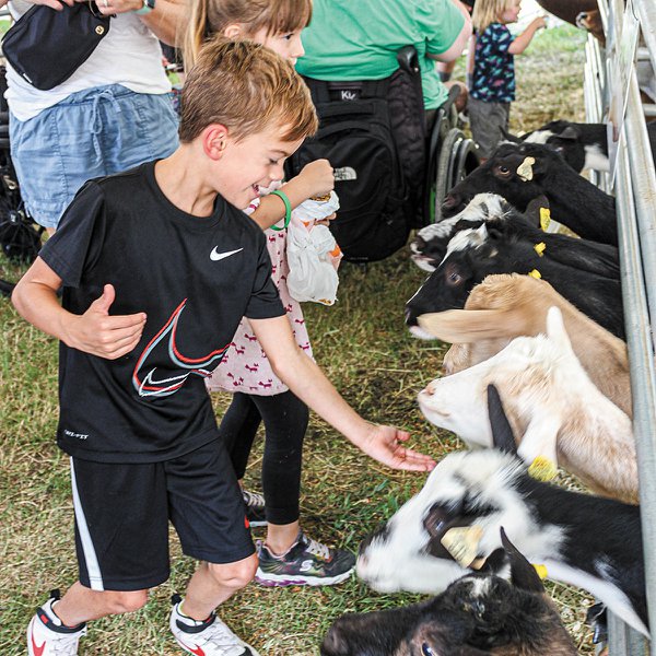 FEA_SummerArtsPlanner_ChesterfieldCountyFair_Courtesy_rp0524.jpg