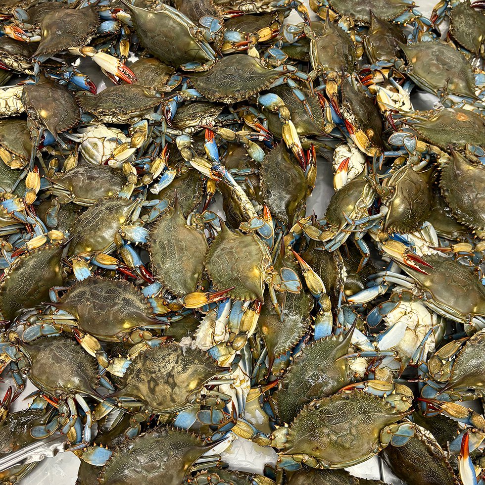 blue-crabs_eileen-mellon.jpg
