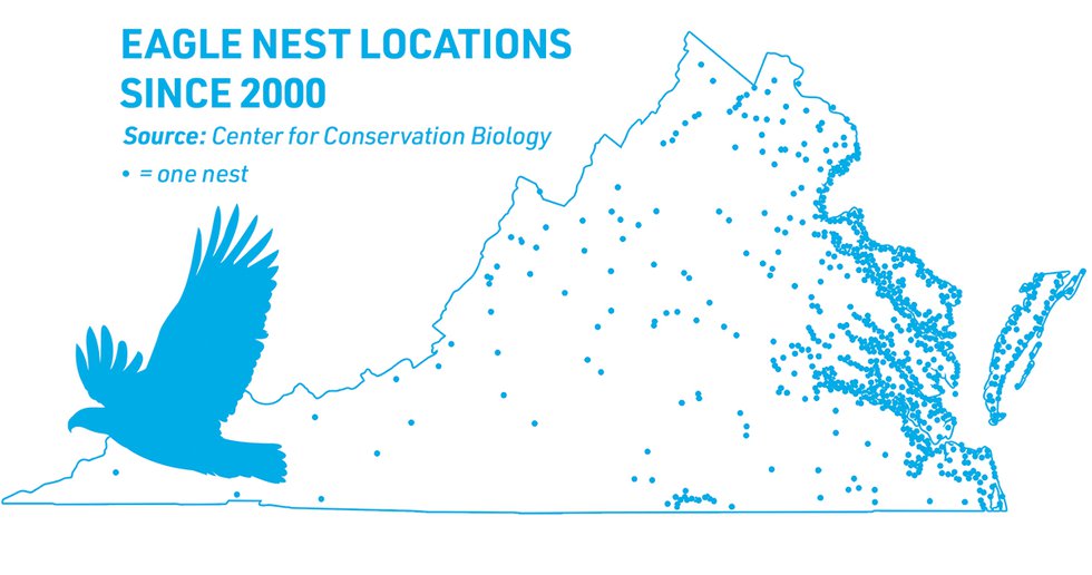 Eagle Nest Locations.jpg