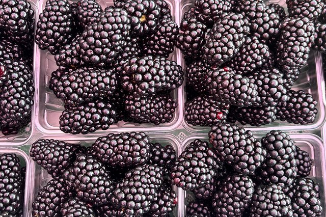 blackberries_eileen-mellon_teaser.jpg