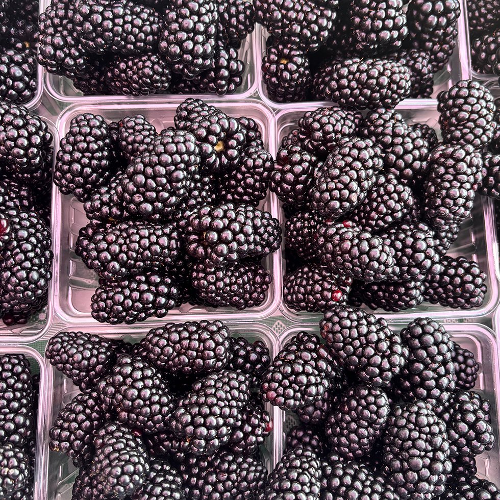 blackberries_eileen-mellon.jpg