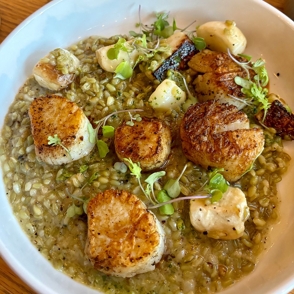 scallops_eileen-mellon.jpg