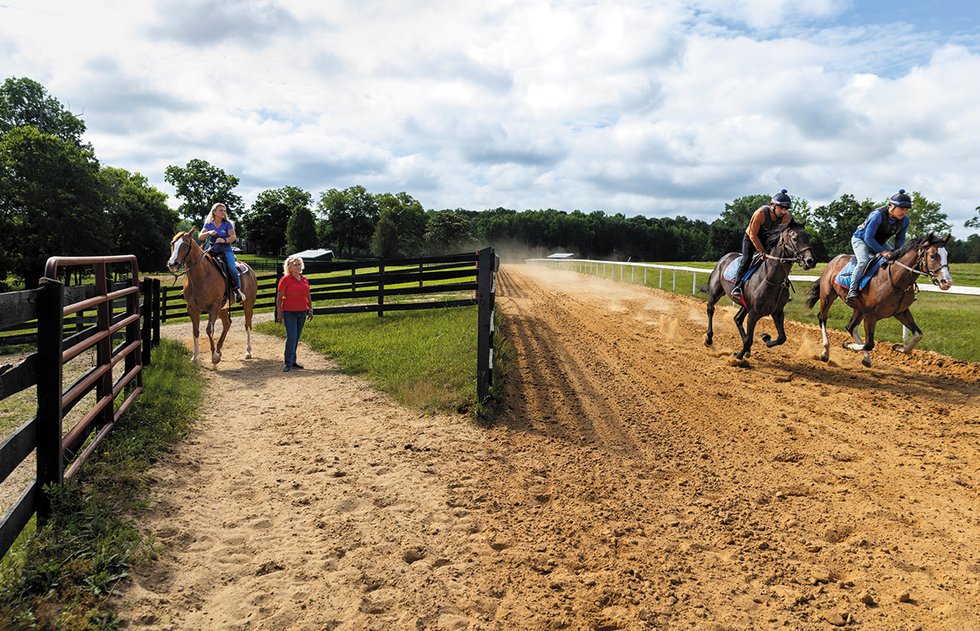 FEA_HorseRacing_EaglesPointFarm3_JULIANNETRIPPHILLIAN_0724.jpg