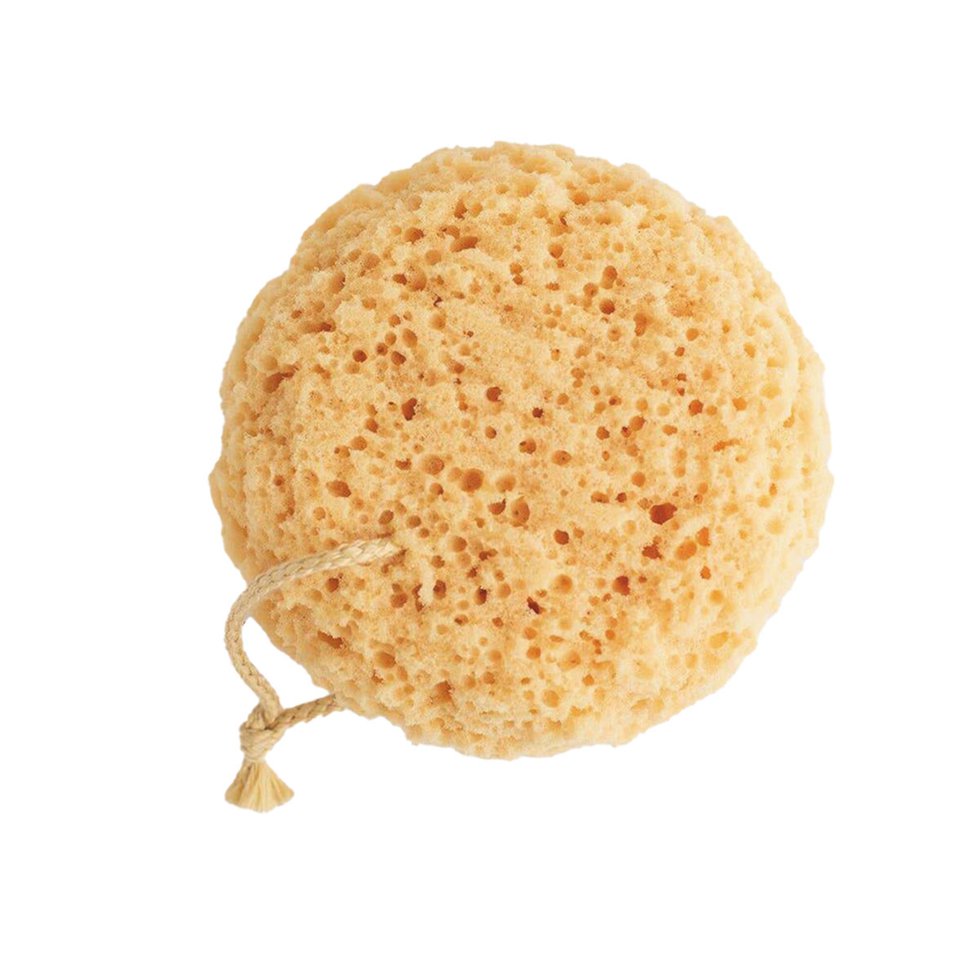 FOB_TheGoods_BridgetBeari_Sponge_COURTESY_hp0724.jpg